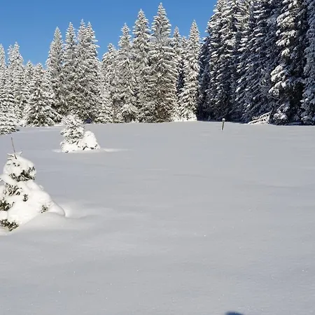 Erzgebirgshuette Dom wakacyjny Pobershau