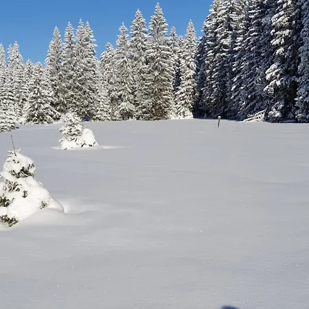 Erzgebirgshuette Holiday home Pobershau