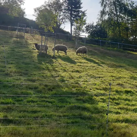 Erzgebirgshuette * 포베르샤우