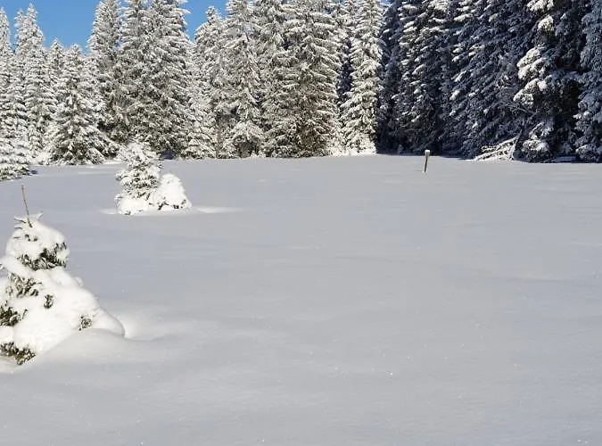 Erzgebirgshuette Nyaraló Pobershau